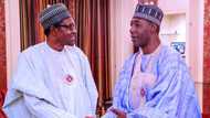 Madalla: Buhari ya amince a ba Zulum N15bn don yin wani babban aiki a Borno