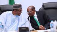 Explainer: How CBN governor, Emefiele breaks CBN law to meet President Buhari's loan requests