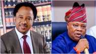 “Judicial Voodoo”: PDP's Shehu Sani Reacts as Tribunal Sacks Adeleke as Osun Governor