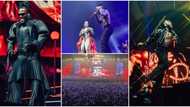 Odogwu: Sweet videos from Burna Boy's sold-out concert in France trends, Jorja Smith joins him on stage