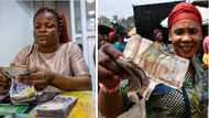 Naira in circulation to reduce as CBN considers curbing money supply