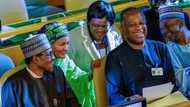 Please do this for me: UN secretary-general gives President Buhari important assignment