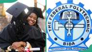 Federal Poly Bida admission portal: how to check admission and next steps