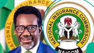 Oil tankers, filling stations owners face imprisonment over new insurance act 2025
