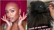 My son Dudu Otedola is way too handsome: DJ Cuppy brags about her dog, stirs reactions online