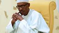 FG under pressure as calls for reinstatement of Ararume as NNPCL chair heightens