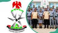 Nigeria Customs Service ranks and salary structure in 2025