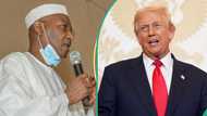 Former Kano deputy governor issues warning to Muslims after Trump threatens to invade