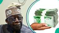 FG disburses N330bn: 7 million poor households to get cash transfers before year-end