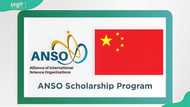The ANSO Scholarship details and how Nigerian students can apply