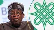 "Nigeria we hail thee": Arewa forum blasts Tinubu's old anthem reintroduction: "It's backward"