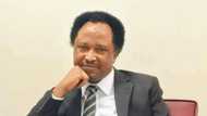 Alkali ya yi wa EFCC kashedi, ya ja wa Lauyanta kunne a shari’ar Shehu Sani