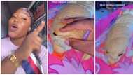 "We no fit chop am": Nigerian lady shocked as bread she bought turns out to be 'fish', shares video