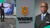 Wigwe University: 3 people share experiences after entering school built by late Access Bank CEO