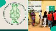 Changing of name and date of birth on NIN and BVN in 2026: Step-by-step guide released