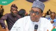 Why other countries recruit Nigerian doctors, nurses, Tinubu’s minister explains