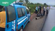 Breaking: 5 dead, several injured in multiple crashes on Lagos-Ibadan Expressway