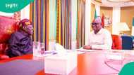 Tinubu: Drama as top ex-gov storms APC rally with PDP-branded cap, video trends