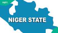 Community leaders sound alarm: Terrorists tighten grip on shiroro region of Niger State