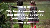 70+ best cousin quotes that perfectly describe your relationship