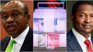 Naira swap Jubilation for Emefiele, Malami as Court gives verdict on case against CBN’s redesign policy