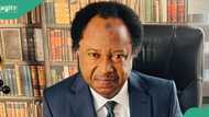 “There is so much hardship”: Shehu Sani speaks on Tinubu’s reforms and hunger In Nigeria