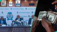 Dollar crash: CBN’s MPC members share opinion on new naira exchange rates