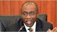 Ex-CBN head, Obadiah Mailafia, criticises Godwin Emefiele's decision to ban BDC operators from selling forex