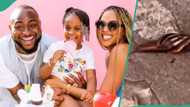 Davido’s 2nd daughter Hailey screams after seeing snails for the first time, clip trends