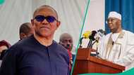 2027 election: ADC presidential slot battle deepens as Northern Obidients warn against making Obi VP