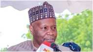 Again, another special adviser to Gombe governor resigns with immediate effect