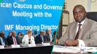 CPPE reacts to IMF report, advocates policy stability for growth