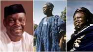 Nigeria at 62: 3 notable heroes of the independence day and their strong-willed efforts