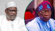 “Probe US lawmaker’s weighty claim USAID funded Boko Haram,” Ndume tells Tinubu’s govt