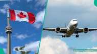 Canada announces new processing times for visa applicants
