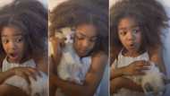 "Her voice is killing": Little girl with fine cat sings Rihanna's Diamond passionately, video melts hearts