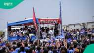 2026 World Cup: Cape Verde receives heroes' welcome after historic campaign, video trends