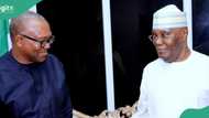 2027: Tinubu's govt reacts as Peter Obi, Atiku’s meeting sparks merger talks