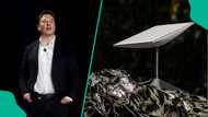 Elon Musk’s Starlink offers free one-month internet subscription, names who can benefit