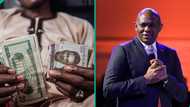 Elumelu speaks on expectations for naira as dollar crashes in FX markets
