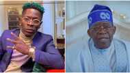 "Everyone says I look like you": Ghanaian Singer Shatta Wale begs Tinubu to adopt him, calls him dad
