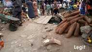 Fruit sellers hint on cost price of seasonal fruits, express dissatisfaction over sales level