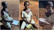 I want to become a doctor, village girl spotted learning under solar streetlight reveals in emotional video