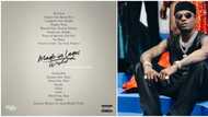 Wizkid releases tracklist for MIL deluxe edition, features 3 new tracts, song with Bella Shmurda missing