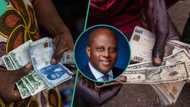 Naira reacts CBN sells cheap dollars to Nigerians through 26 banks