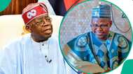 Masussuka: Tinubu bai ji daɗin kisan gillar da aka yi wa Sheikh ba, ya ba da umarni