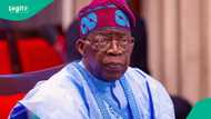 Shomolu APC crisis: Tinubu urged to intervene as Muslim leaders debunk religious bias claims