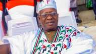 Updated: I’m PDP’s authentic acting national chairman - Akinwonmi