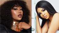 BBNaija: Toyin Lawani claims Nengi dated her baby daddy, says she also called her 'amoeba' (screenshot)