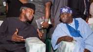 2023: Group urges Osinbajo to run, wants Tinubu to withdraw from race